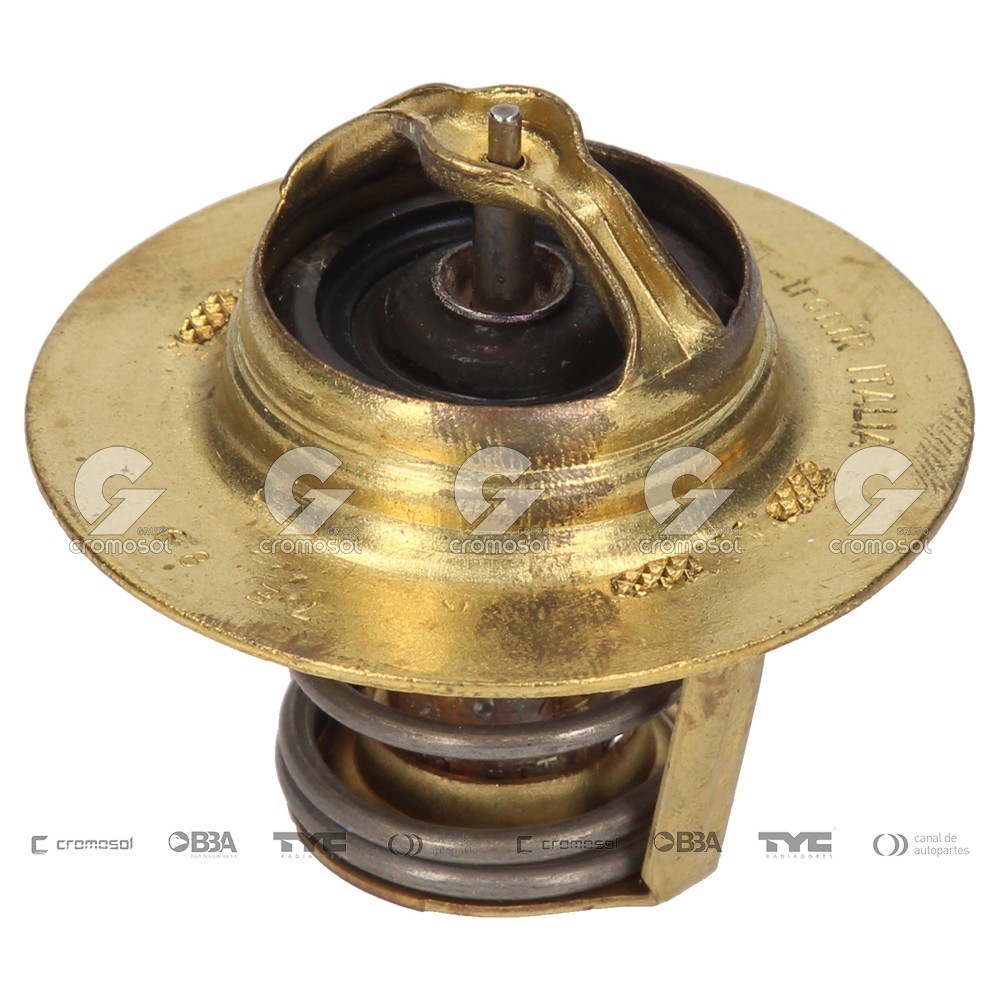 Termostato para Renault 19 F1 91-92