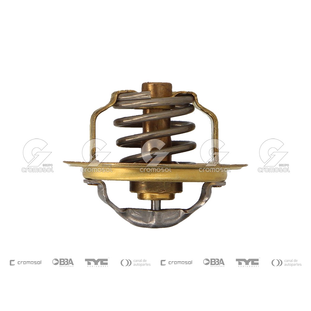 Termostato para Audi A3 05-08
