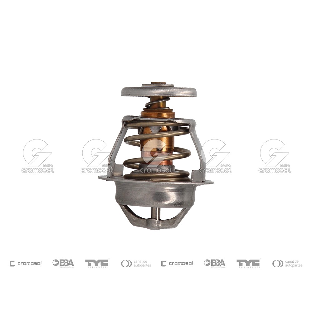 Termostato para Volkswagen Camión 99-10