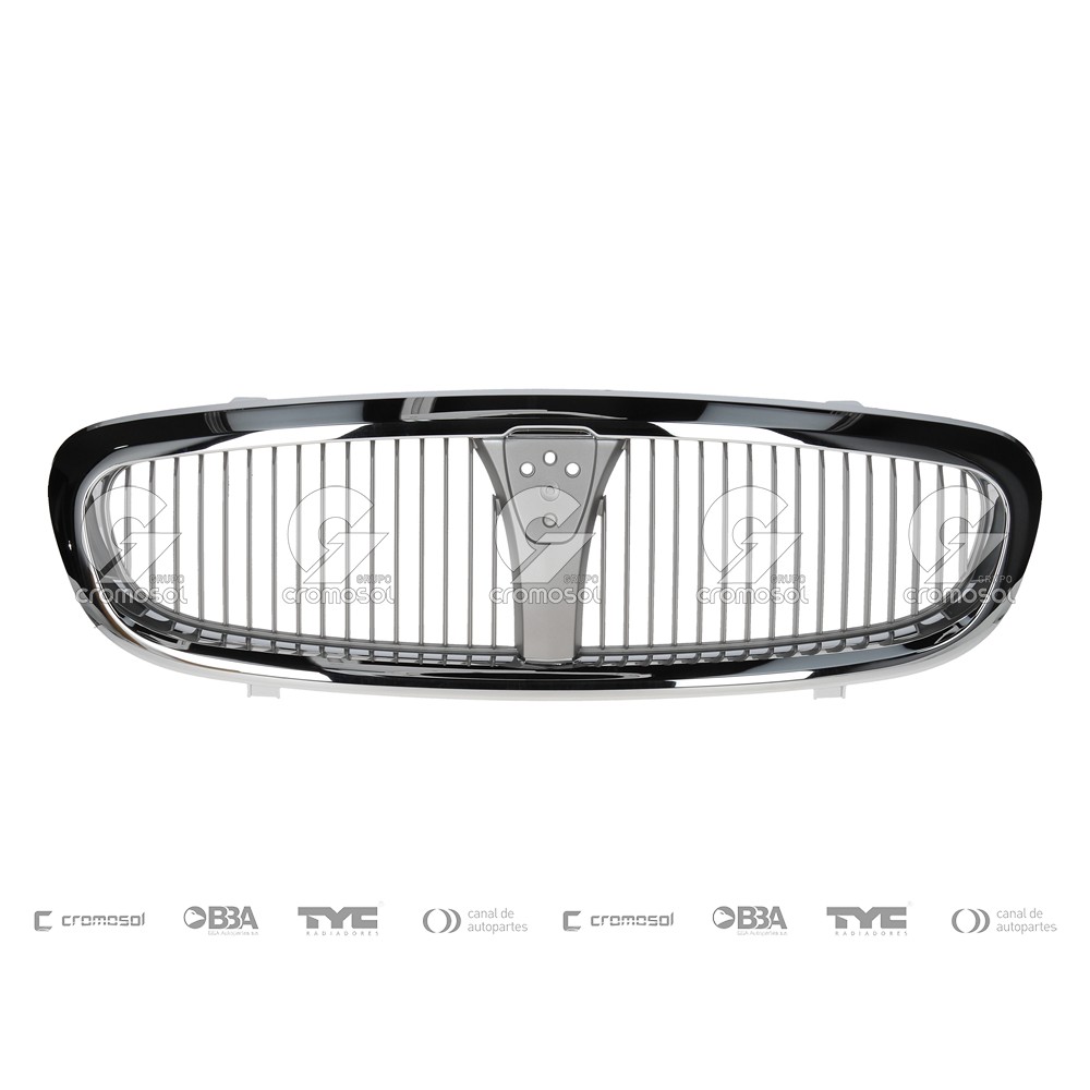Rejilla central para Rover 25 01-05