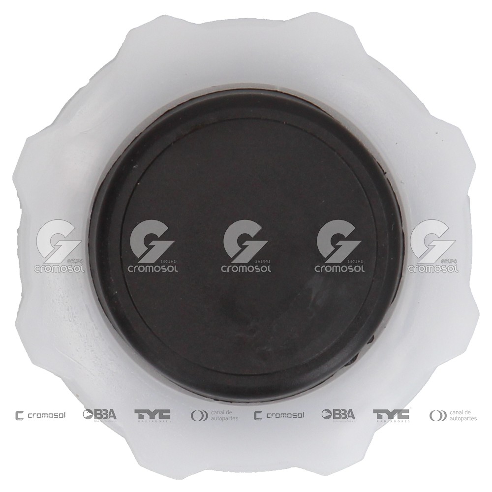 Tapa de deposito de agua para Renault 11 F1 83-90