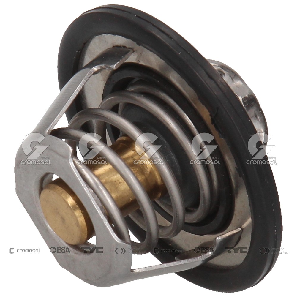 Termostato para Renault Clio I F1 94-96