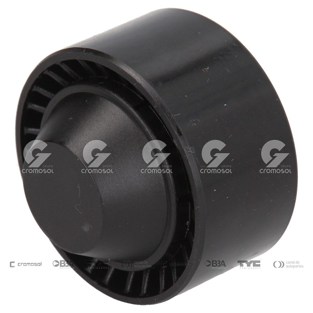 Polea accesorios para Citroën C3 FI 02-07