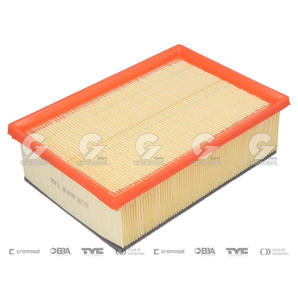 Filtro de aire para Peugeot 307 F1 01-06