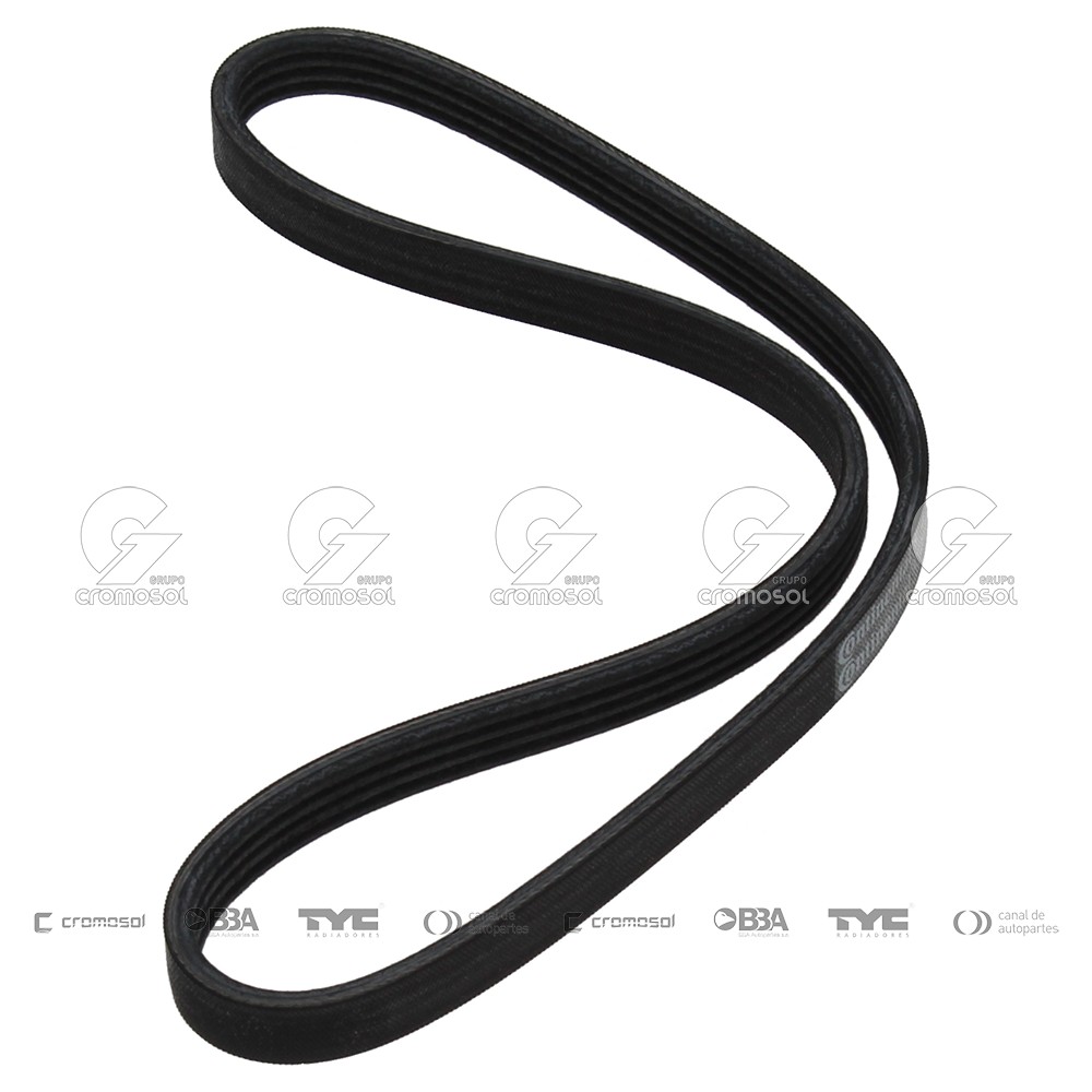 Correa de accesorios para Fiat Duna F2 97-00