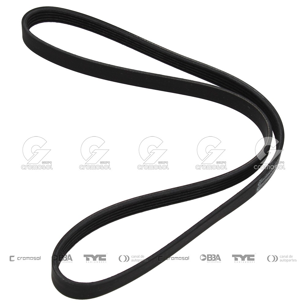Correa de accesorios para Alfa Romeo 164