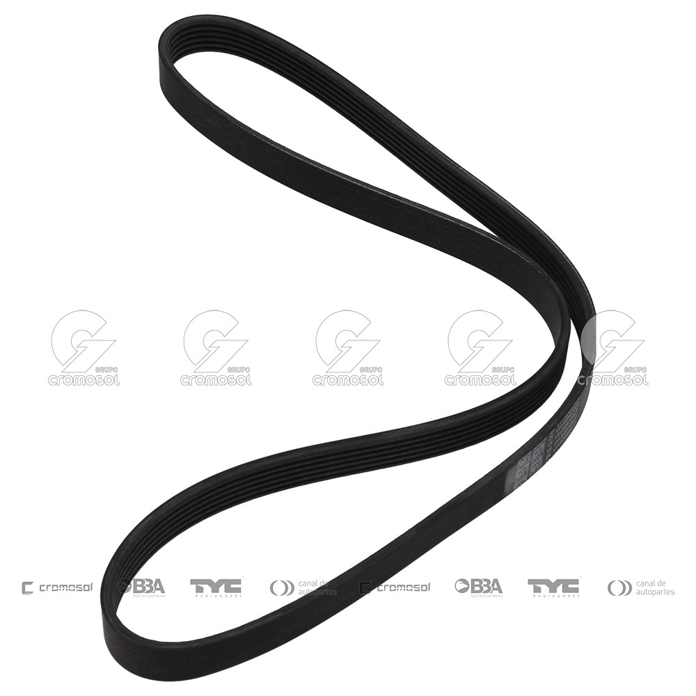 Correa de accesorios para Honda Accord 98-02