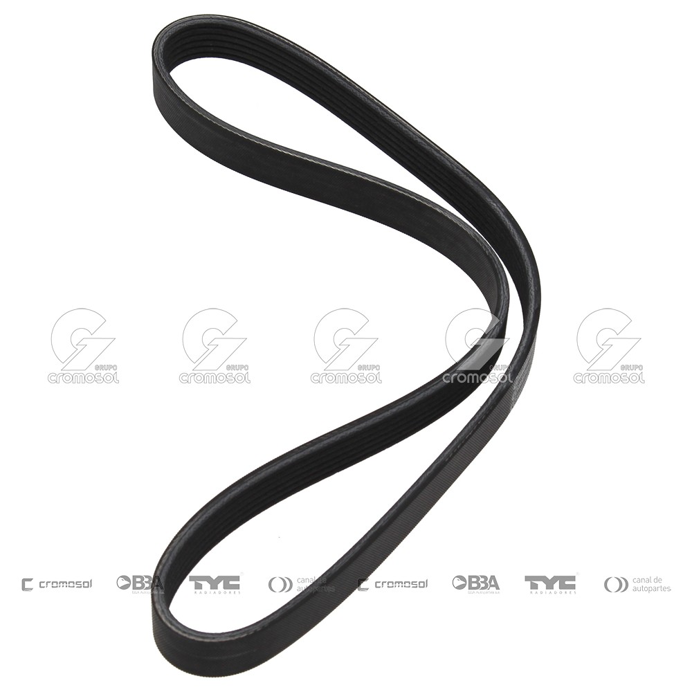 Correa de accesorios para Mini Cooper