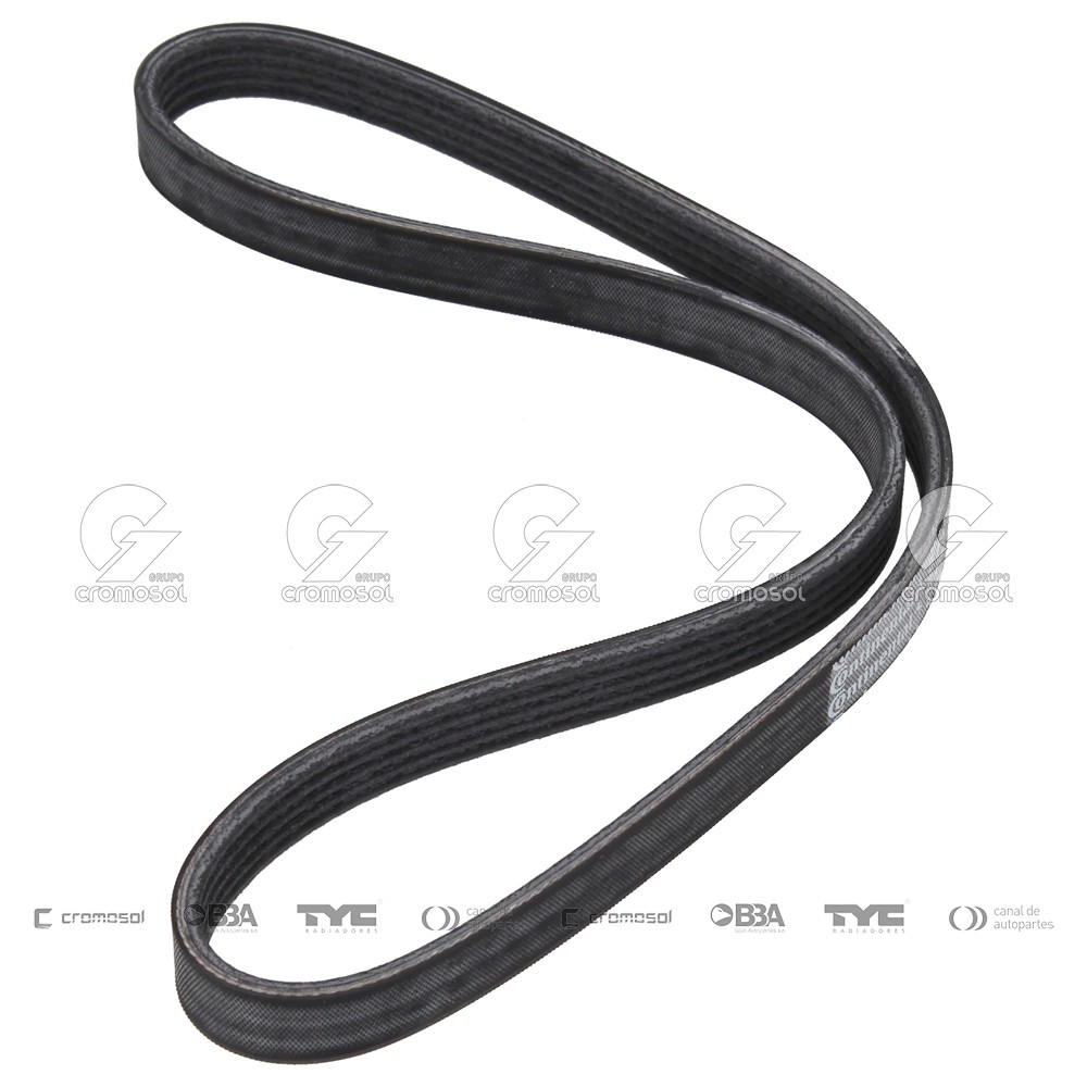 Correa de accesorios para BMW X5 (e53) 99-04