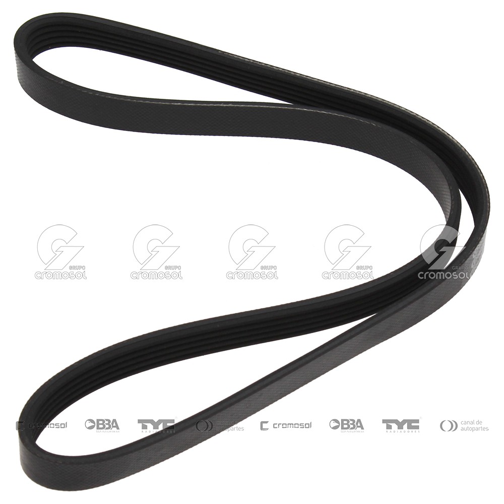 Correa de accesorios para Volkswagen Vento G5 06-11