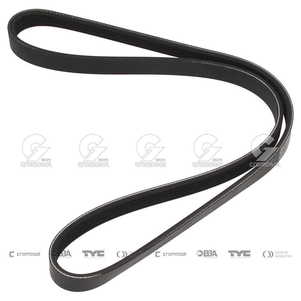 Correa de accesorios para Audi R8