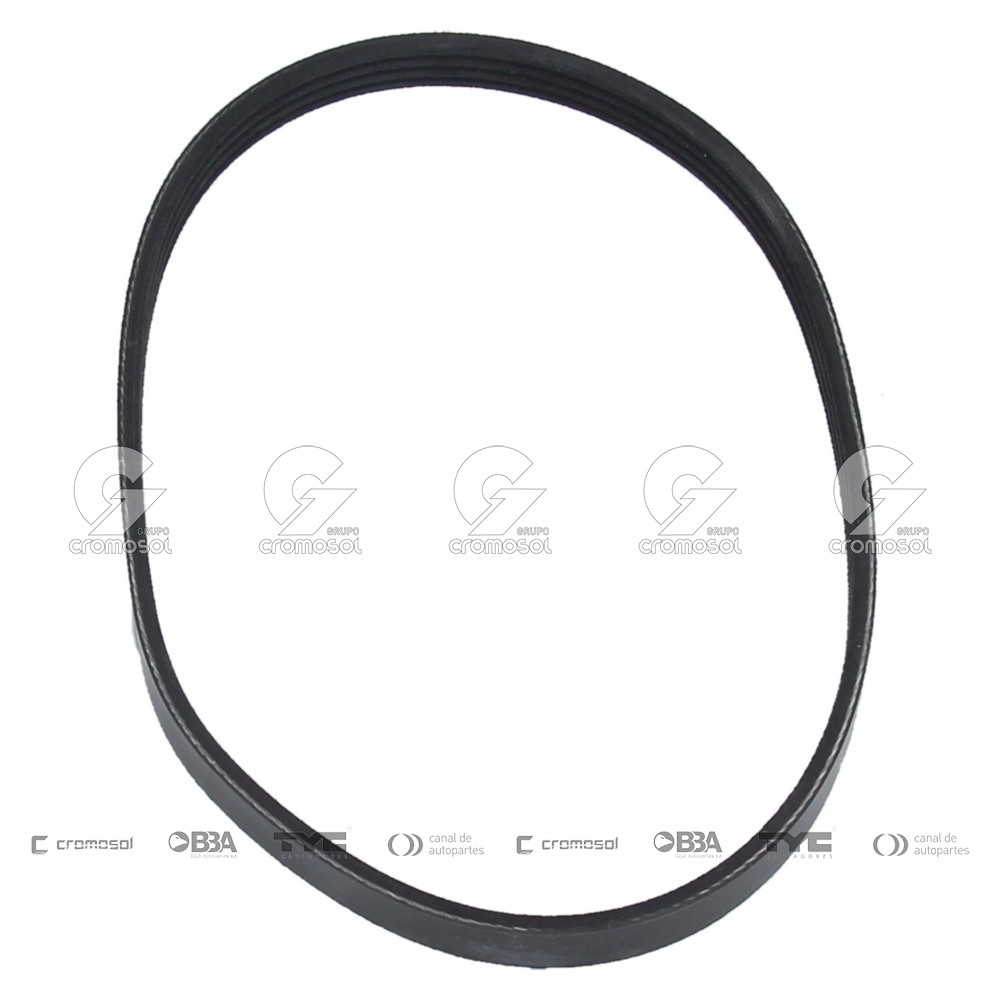 Correa de accesorios para Fiat Duna F2 97-00