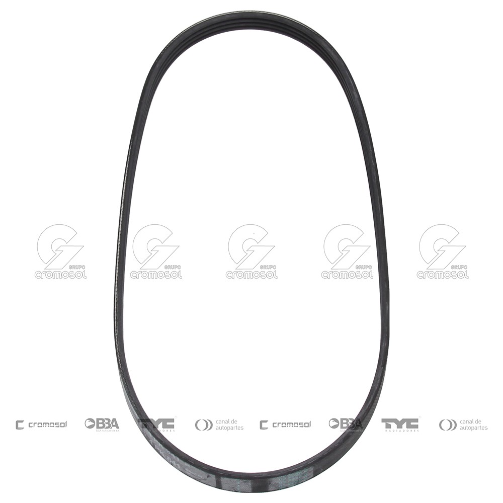 Correa de accesorios para Chrysler Neon F1