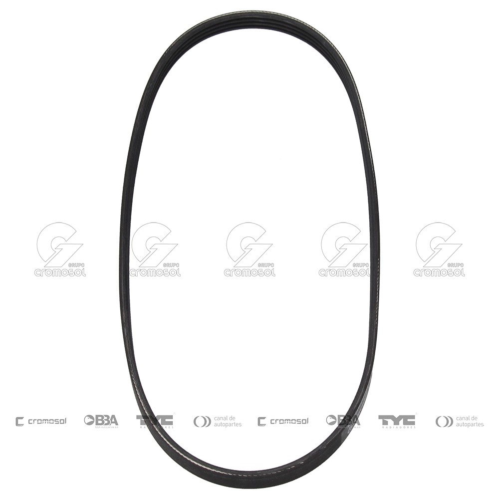 Correa de accesorios para BMW Serie 5 530 (E39) 98-03