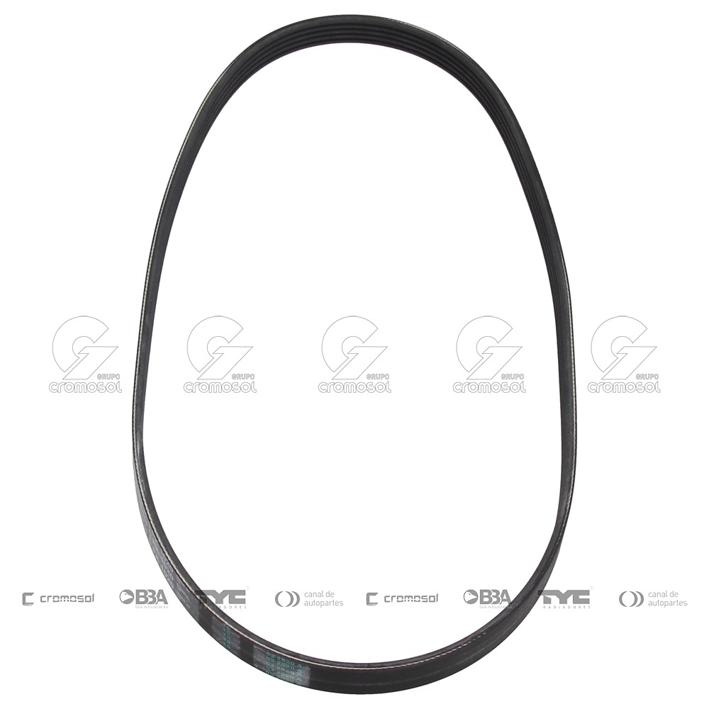 Correa de accesorios para Citroën Saxo 01-04