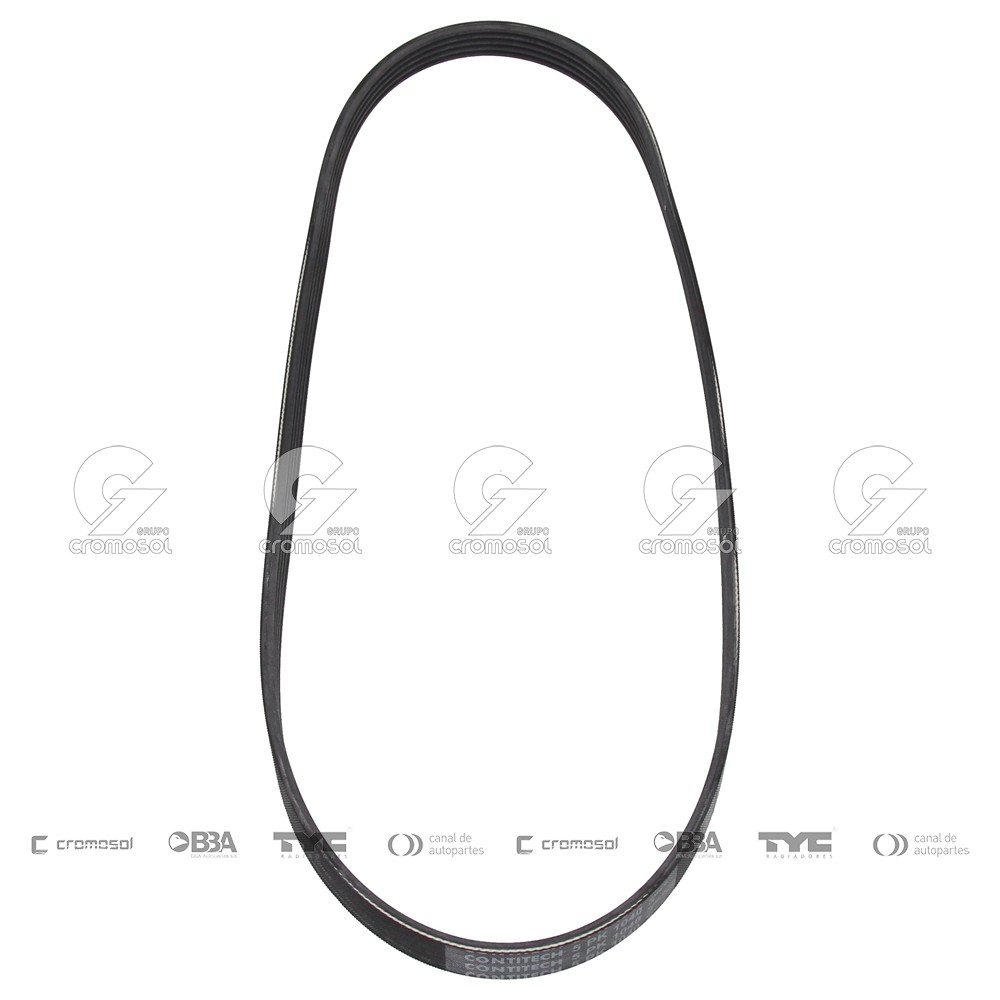 Correa de accesorios para Alfa Romeo 155