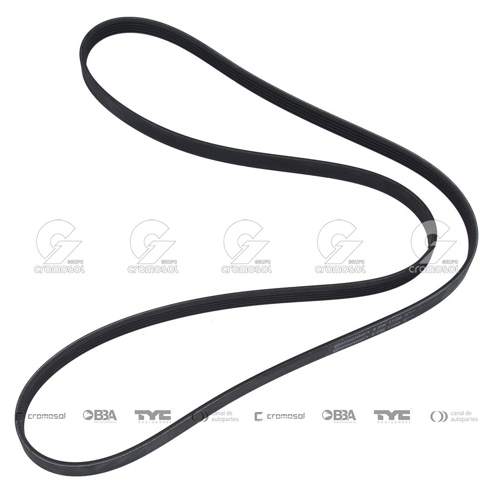 Correa de accesorios para Universal Universal Livianos 50/20 5pk1720 (poly v - micro v)