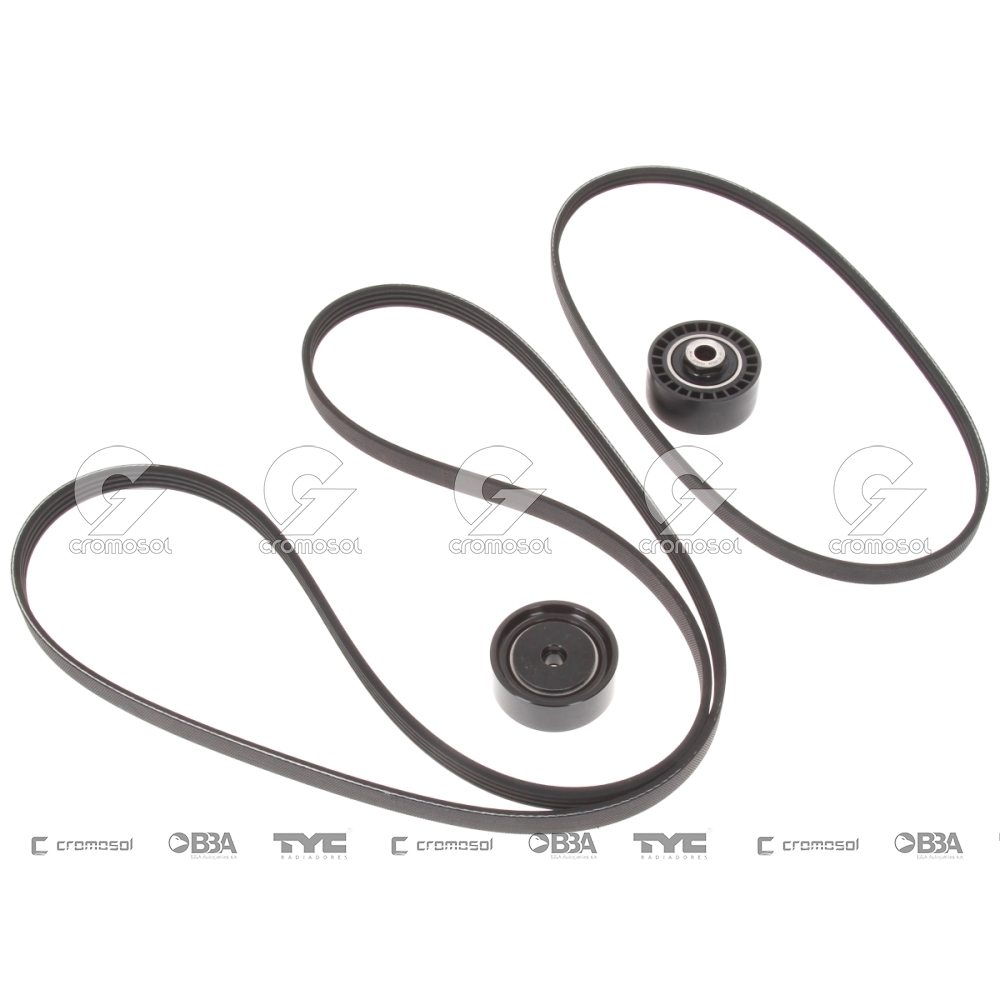 Kit correa de accesorios para Renault Clio II 99-02